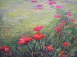 Image24
